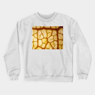 Red autumn maple leaf under the microscope Crewneck Sweatshirt